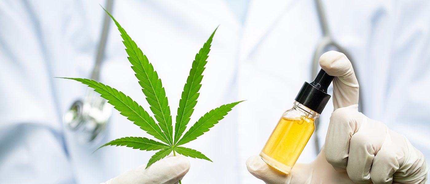 Specialized Marijuana Doctors: Your Guides To Optimal Health And Well-being