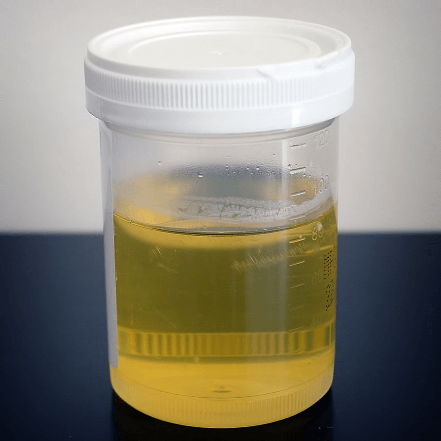 best-selling fake urine kits